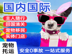 锦州锦州湾机场邮寄国际宠物托运 【国